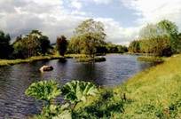 Annamoe Fishery lake
